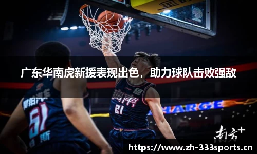 333体育官网