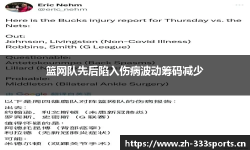 333体育官网