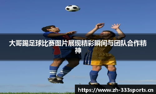 333体育官方网站