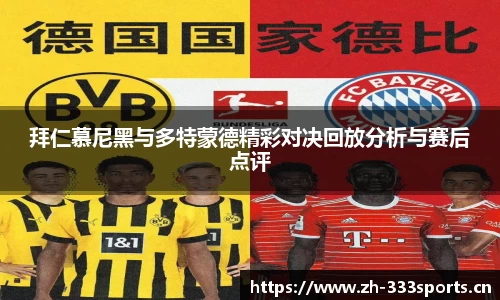 333体育官方网站