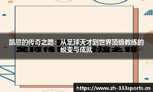 333体育平台