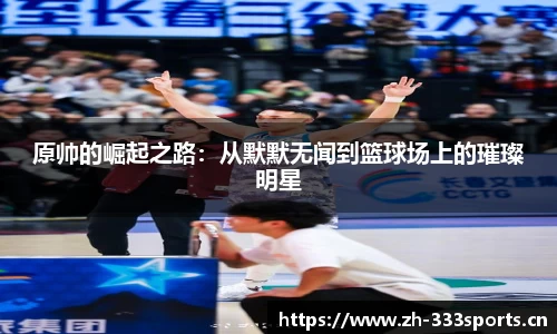 333体育官方网站